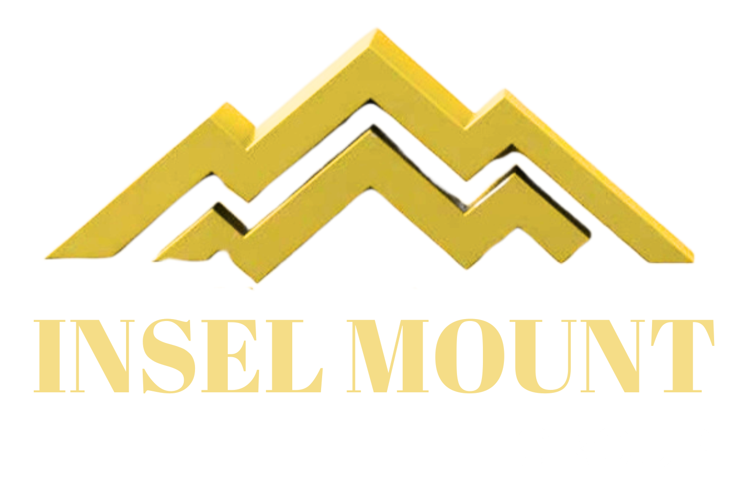 Insel Group Logo